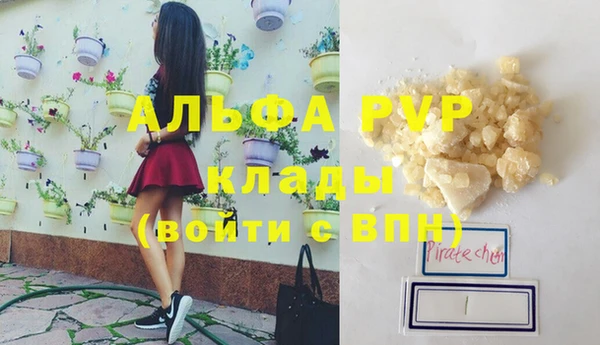 СК Алексин